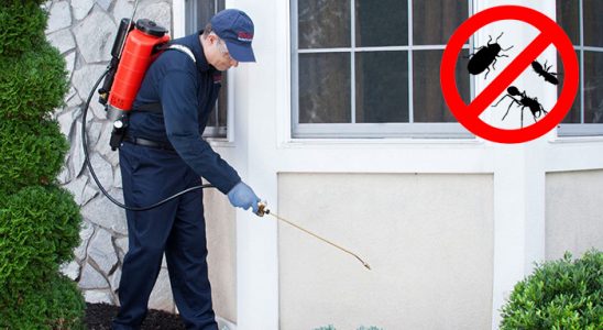 Feke Böcek ve Haşere İlaçlama böcek ilaçlama ve haşere kontrolü — ilaclama-tr.com